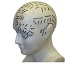 Uml inteligence me lidem pomhat, ale m i sv etick limity
